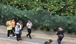 蔡塘拆迁爆料视频大全最新,揭秘爆料视频背后的真相与进展”