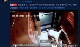 网红爆料家暴视频大全下载,触目惊心的真实案例大盘点