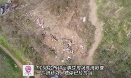 科比遗体爆料视频完整版,事故真相与亲友哀悼