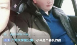 阿斌直播教练爆料视频,教练爆料视频背后的惊人真相