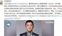 詹小胖爆料刘磊录音视频,真相大白背后的惊人内幕