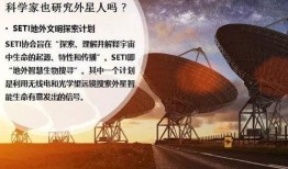 爆料第二期视频完整版,深度解析视频完整版背后的真相与内幕
