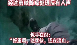 哈尔滨爆料双城事件视频,揭秘背后真相与影响